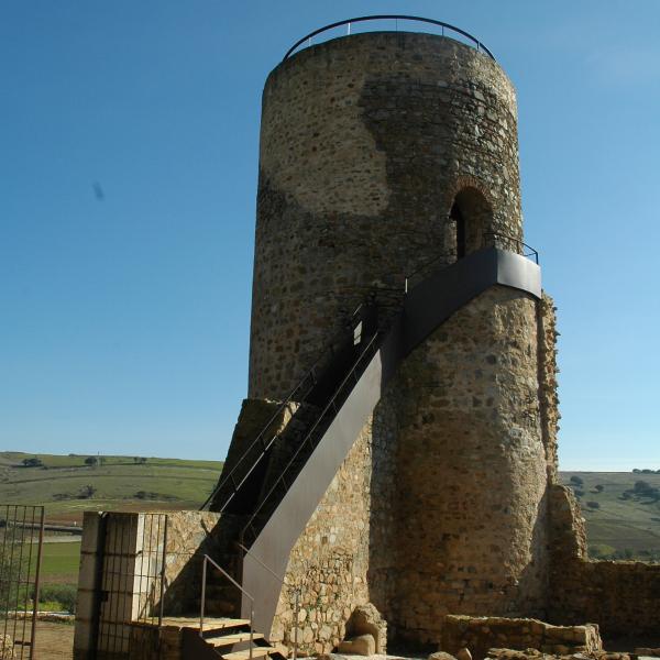 Castillo Medina de Las Torres